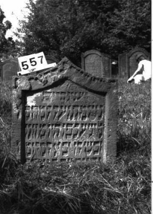 Grabstein 557
