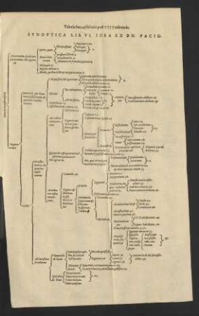 Synoptica Lib. VI. Idea Ex Dn. Pacio
