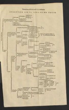Synoptica Lib. VI. Idea Ex Dn. Pacio