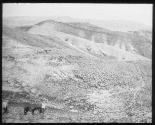 Am Wege n. ch. [chirbet] Mird (Hirbet Mird = Hyrkania - Festung südöstlich von Jerusalem)