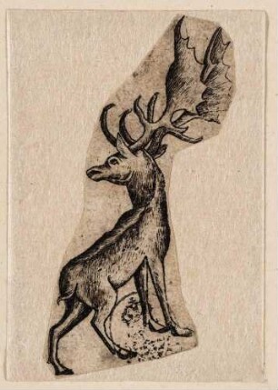 Damhirsch