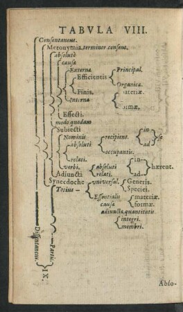 Tabula VIII.