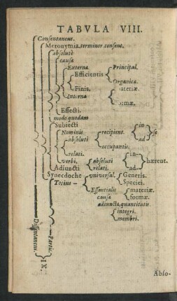 Tabula VIII.