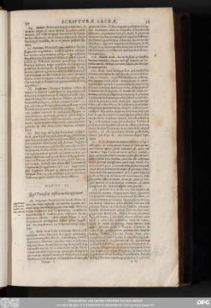 Caput VI. Quid Pontificii nostris mediis opponant.