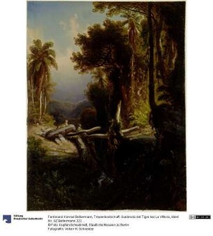 Tropenlandschaft. Quebrada del Tigre bei La Vittoria