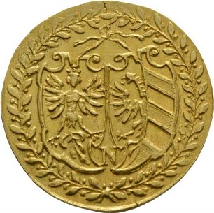Münze, Goldgulden, 1579