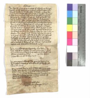Aufzeichnungen über die Verhältnisse der Pfarrei Göttingen im 14. Jahrhundert (1349-1391)