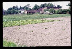 Lübars 19.6.76.