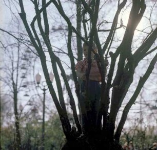 Junge zwischen den Ästen eines Baumes stehend