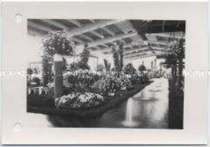 Hamburg, Internationale Gartenausstellung (IGA) 1973, Vierte Hallenschau