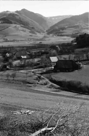 Kirchzarten; Geroldstal: Geroldstal bei Oberried; Geroldstal mit Zastler