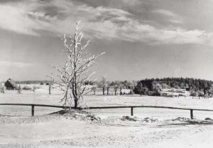 Zinnwald-Georgenfeld, Ortsteilansicht Georgenfeld, Ansicht vom Waldrand nördlich des Lugsteins