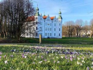 Ahrensburg: Herrenhaus (Museum Schloss Ahrensburg): Gartenseite, davor Wiese mit Krokusblüten im Frühjahr