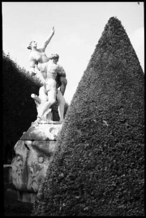 Salzburg: Mirabellpark, Allegorien, kämpfende Männer hinter Pyramidenbaum [Paris raubr Helena]