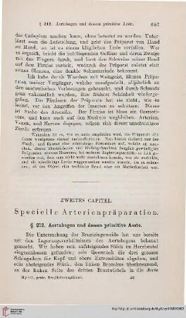 Zweites Capitel: Specielle Arterienpräparation