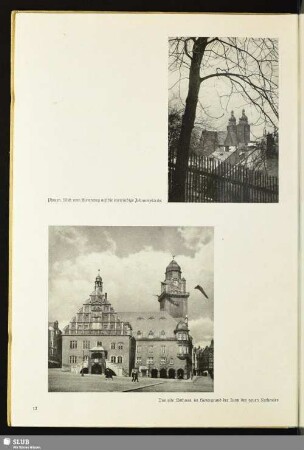 Plauen. Blick vom Hirtenweg auf die ehrwürdige Johanniskirche