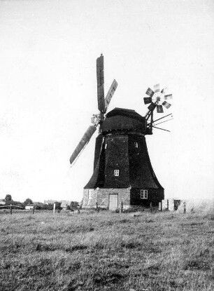 Ahrenshoop Ostseebad-Ahrenshoop. Erdholländer