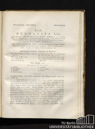 XLIX. HERMANNIA. Linn. [lat.]