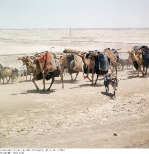 Irak: Karawanenweg