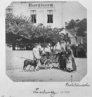 Gemüsehändler mit Hundegespann : Gemüsehändler mit Hundegespann (Gemüsehändler am Dorfplatz). Albuminpapier; 17 x 14,8 cm (um 1880; A. Kotzsch). Dresden: Privatbesitz