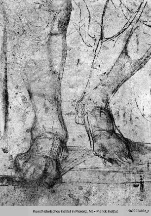 Wandzeichnungen an der Südwand: Figurenstudien : Beine einer sitzenden männlichen Figur (Studie für 'Guliano Herzog von Nemours')