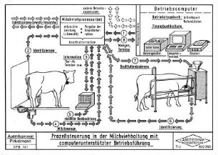 Prozeßsteuerung in der Milchviehhaltung mit computerunterstützter Betriebsführung