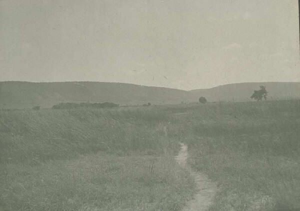 The Mhandu mountains (occurrence of Itabirit). Msalala.