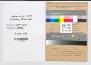 Entnazifizierung Willi Sauer, geb. 19.10.1914 (Verw.Inspektor)