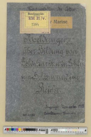 Meldungen über Bildung von Soldatenräten in Schleswig-Holstein und im Reiche
