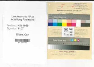 Entnazifizierung Carl Giese , geb. 08.03.1892 (Bankbeamter)