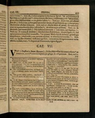 437-442, Cap. VII