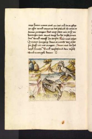 Die Vogelfrau und ihr toter Mann Holgot vor dem Felsen; (Kapitel XVI: Von den Vögeln).