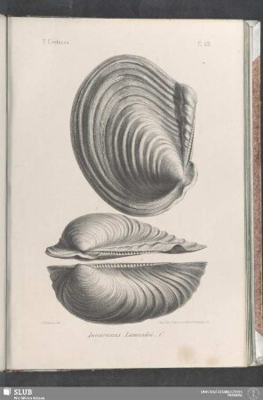 Pl. 412