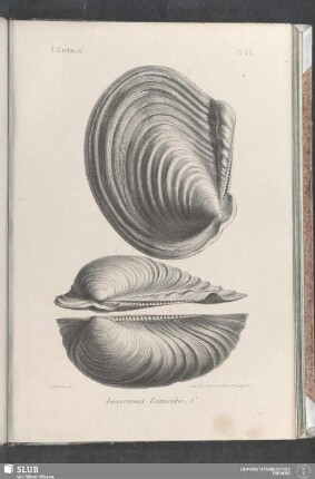Pl. 412