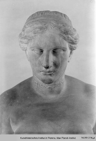 Büste der Venus (nach griechischem Vorbild)
