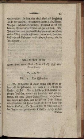 Die Heidelerche