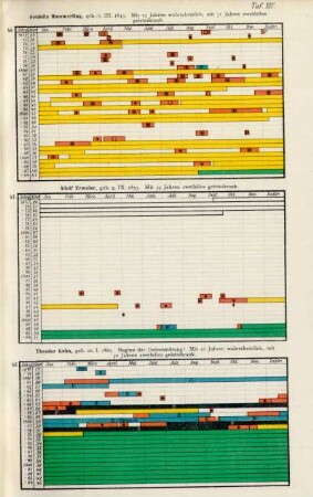 Taf. XIV