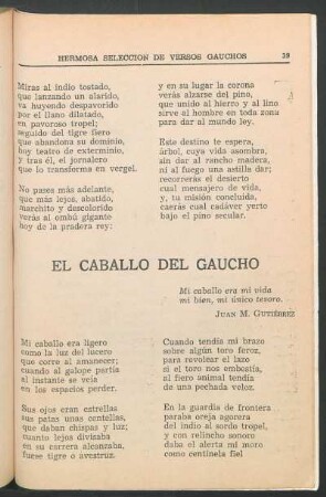 El caballo del gaucho