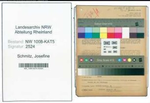 Entnazifizierung Josefine Schmitz , geb. 17.02.1903 (Bueroleiterin)