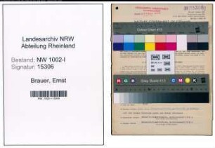 Entnazifizierung Ernst Brauer, geb. 21.10.1883 (Buchhalter)