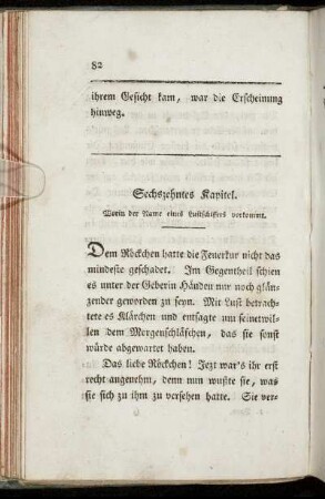 Sechszehntes Kapitel. Worin der Name eines Luftschiffers vorkommt.