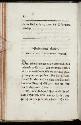 Sechszehntes Kapitel. Worin der Name eines Luftschiffers vorkommt.