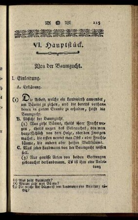 VI. Hauptstück.