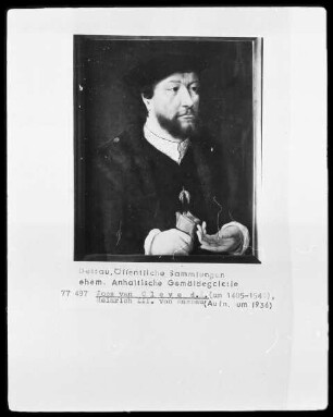 Heinrich 3. von Nassau, Statthalter der Niederlande
