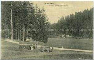Heuernte bei Ilmenau