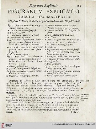 Figurarum explicatio: Tabula decima-tertia