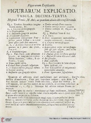 Figurarum explicatio: Tabula decima-tertia