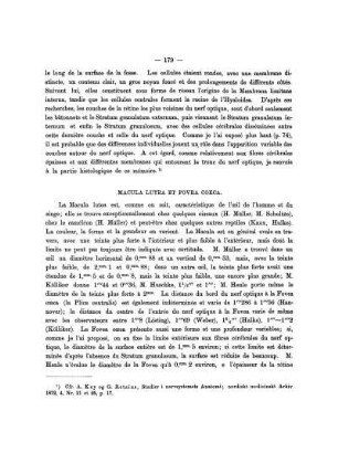 Macula Lutea Et Fovea Coeca.