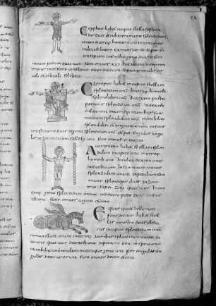 Isidorus Hispalensis, De natura rerum, Etymologiae (lib. 3, interpol.); Computus (1-72r); Isidorus Hispalensis, Sententiae (73v-93). — Sternbilder, Folio fol. 28r