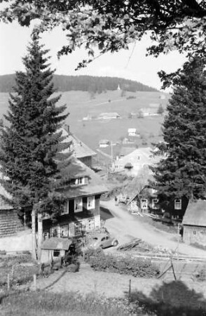 Todtnauberg: Blick auf Todtnauberg; Vordergrund Tanne und Schwarzwaldhaus